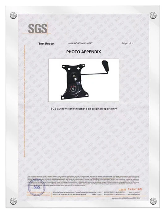 Механизм получения сертификата SGS